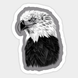 Sketch Eagle Sticker